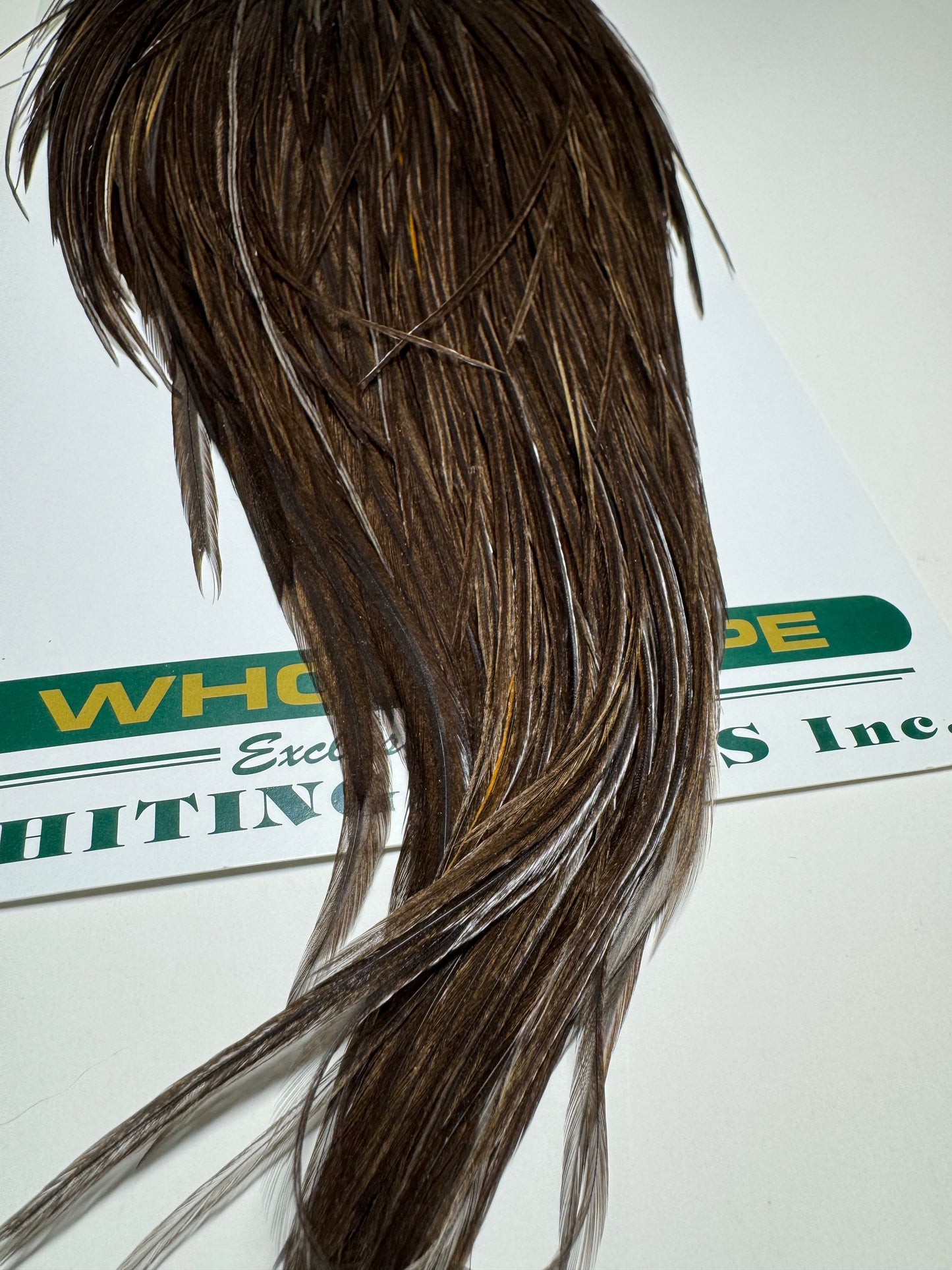 Whiting Farms Hebert Miner Bronze Cape: Dark Grey Dun SH015