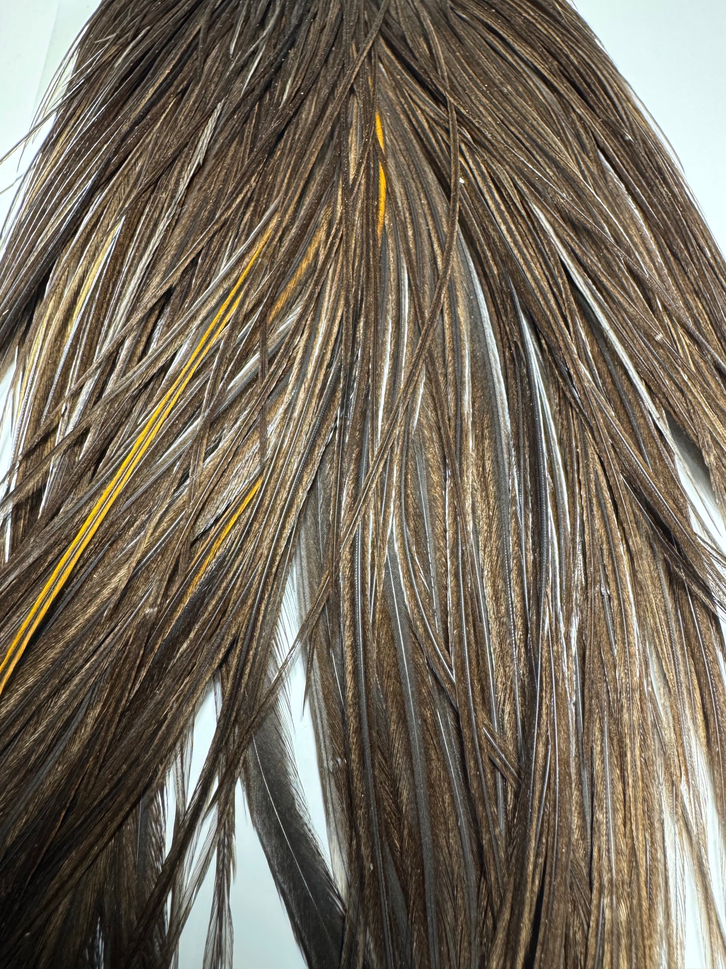 Whiting Farms Hebert Miner Bronze Cape: Dark Grey Dun SH015