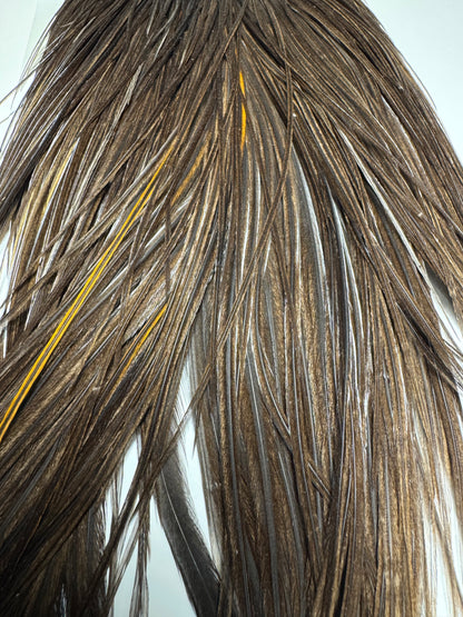 Whiting Farms Hebert Miner Bronze Cape: Dark Grey Dun SH015