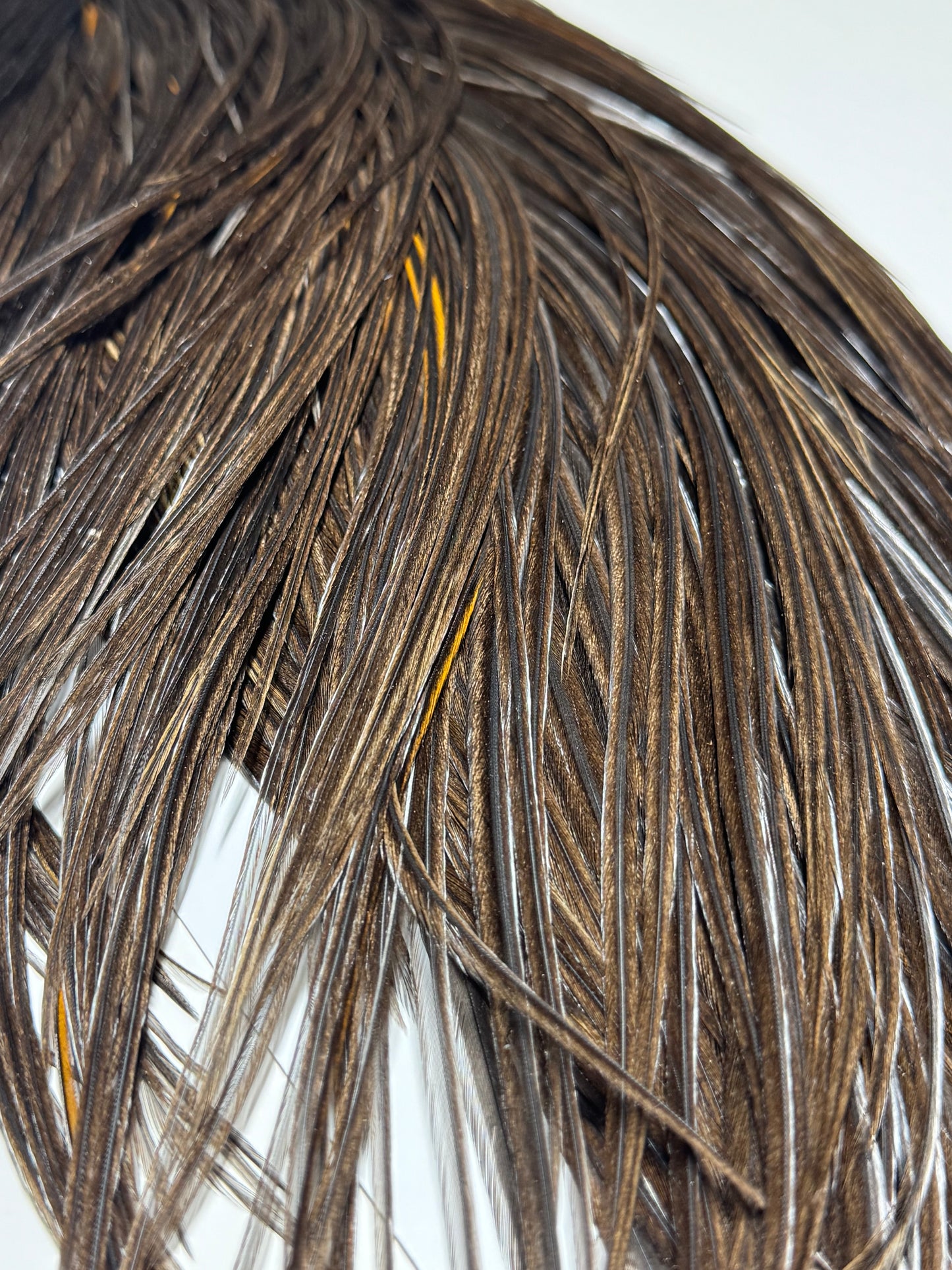 Whiting Farms Hebert Miner Bronze Cape: Dark Grey Dun SH015