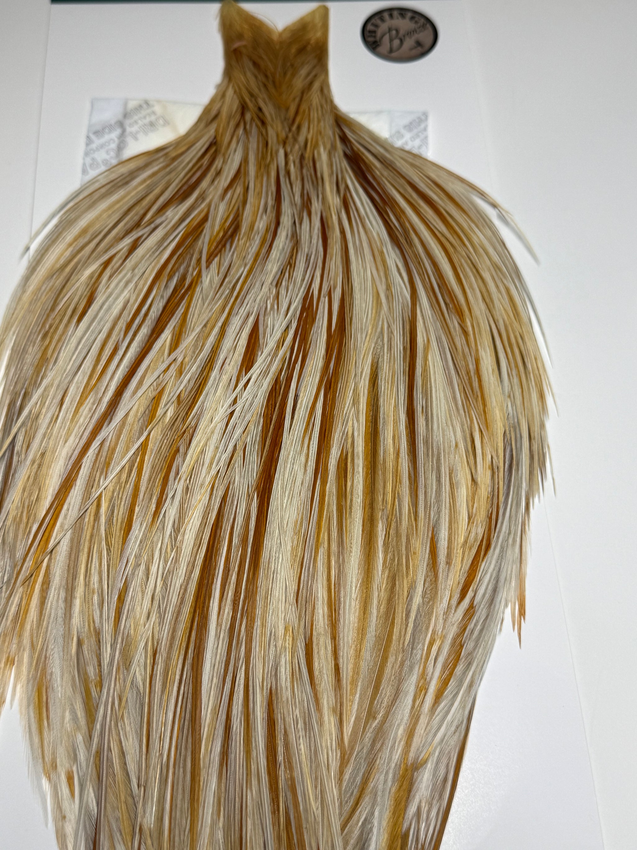 Whiting Farms Hebert Miner Bronze Cape: Unique Variant/Ginger Splash SH016
