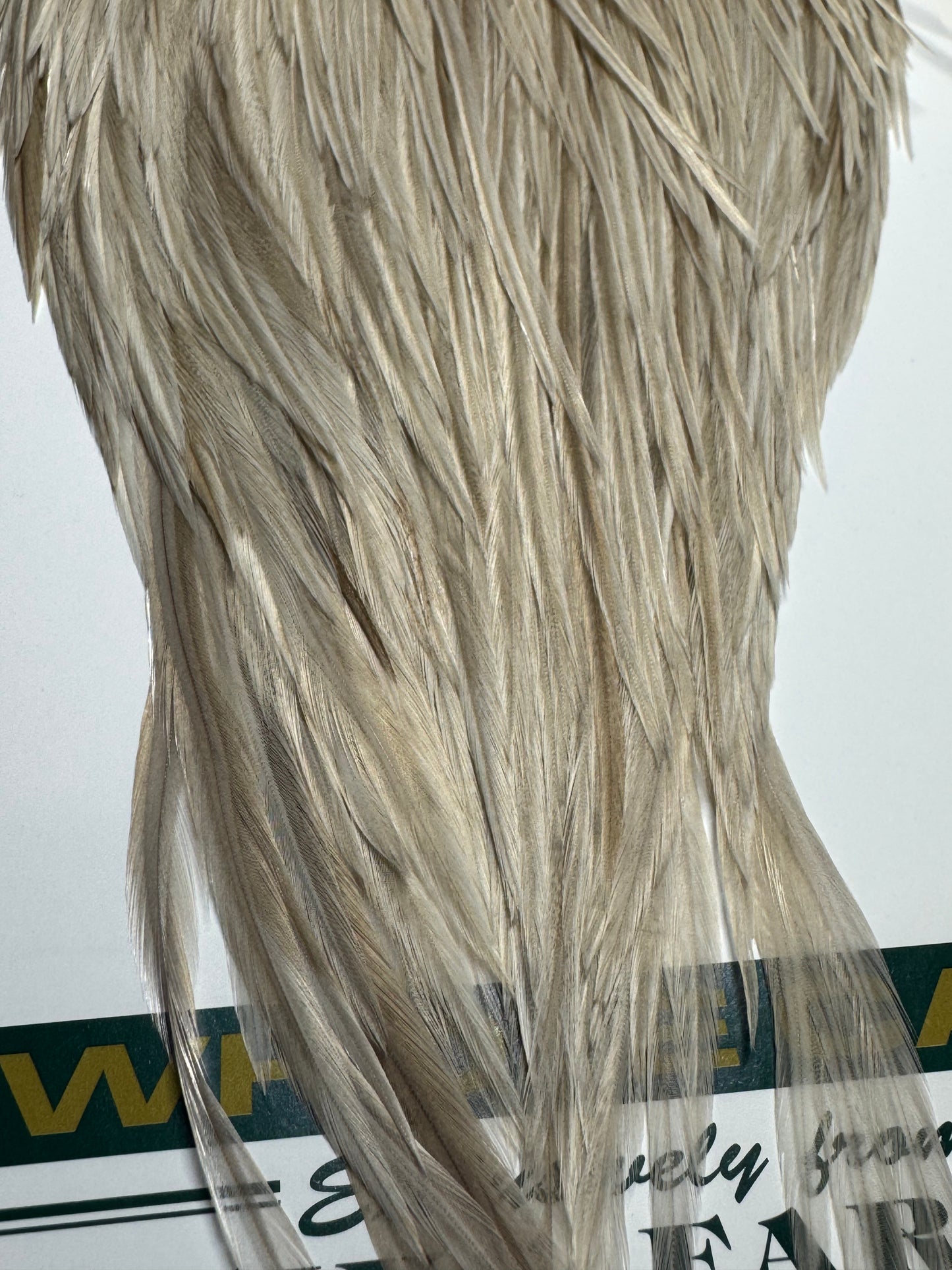 Whiting Farms Hebert Miner Bronze Cape: Pale Watery Dun SH025