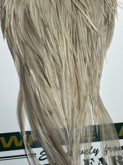 Whiting Farms Hebert Miner Bronze Cape: Pale Watery Dun SH025