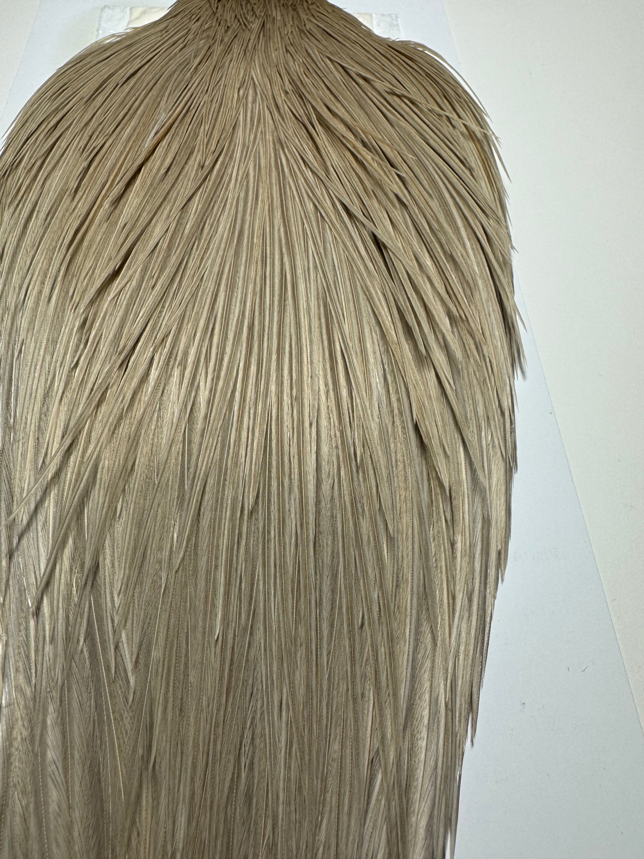 Whiting Farms Hebert Miner Pro Grade Cape:  Light Tan Dun SH029
