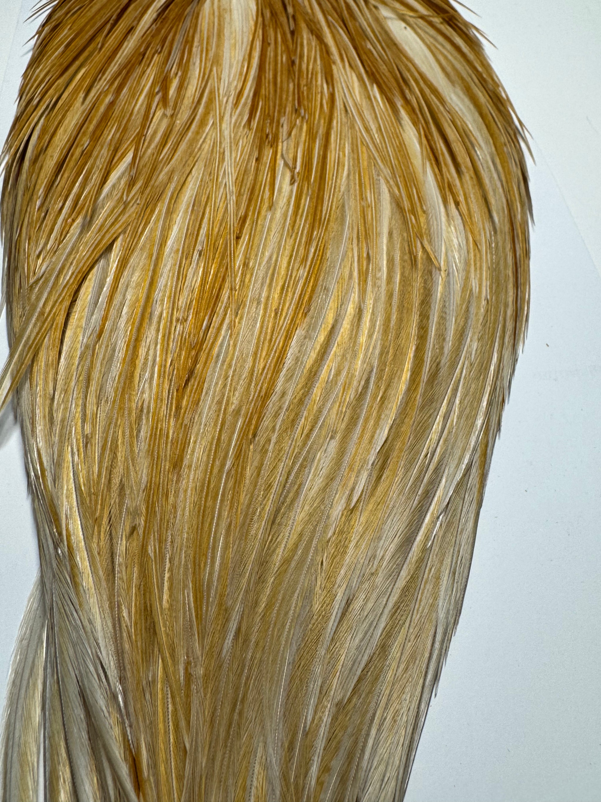 Whiting Farms Hebert Miner Pro Grade Cape:  Medium Ginger SH030