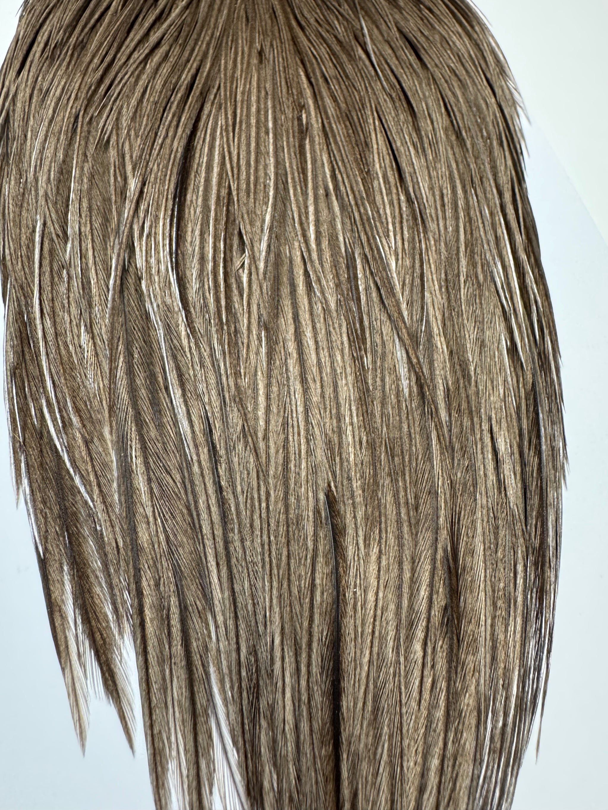 Whiting Farms Hebert Miner Pro Grade Cape:  Dark Grey Dun SH034
