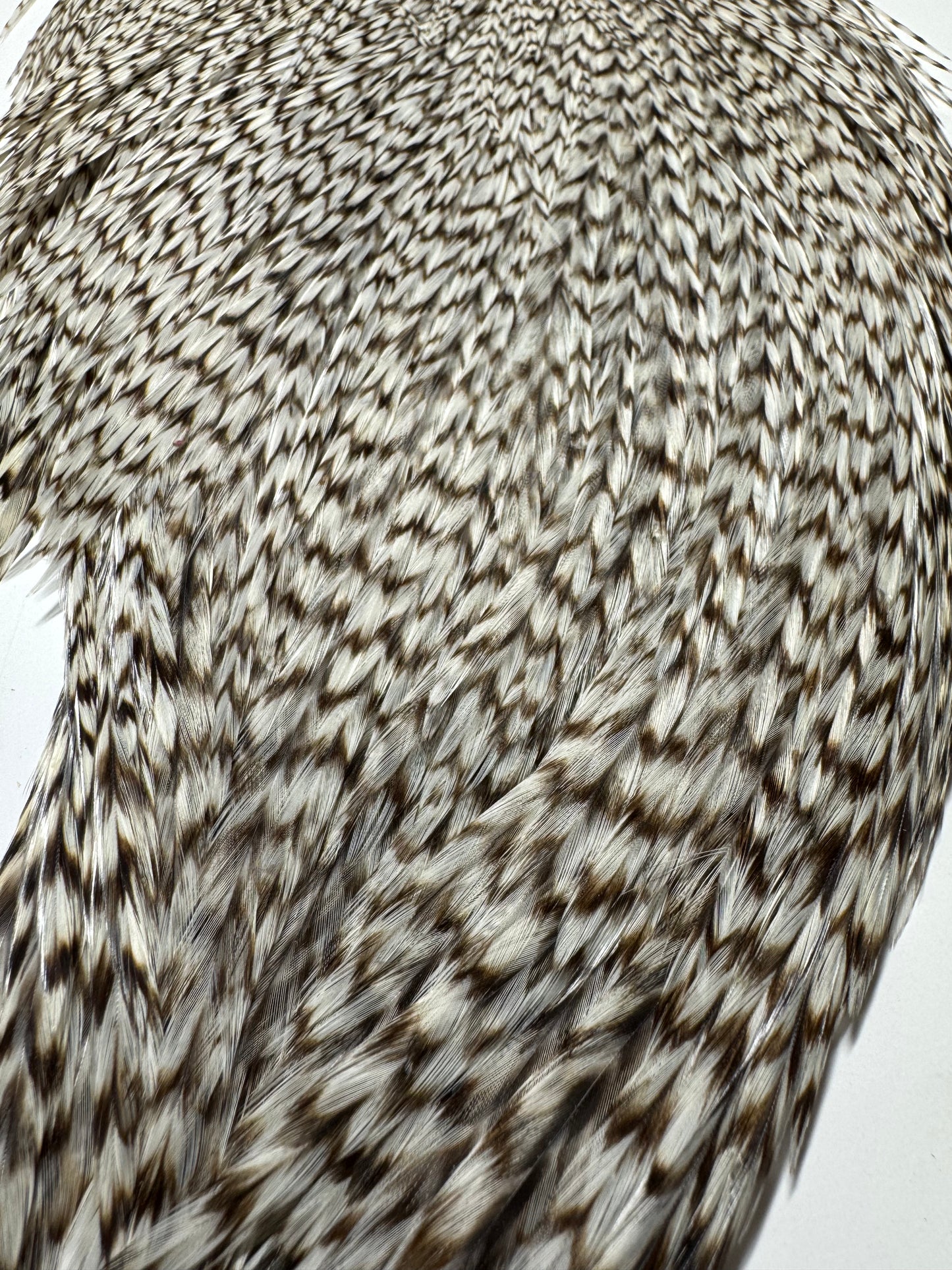 Whiting Farms Hebert Miner Pro Grade Cape:  Grizzly SH035