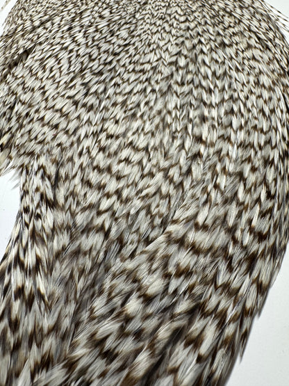 Whiting Farms Hebert Miner Pro Grade Cape:  Grizzly SH035