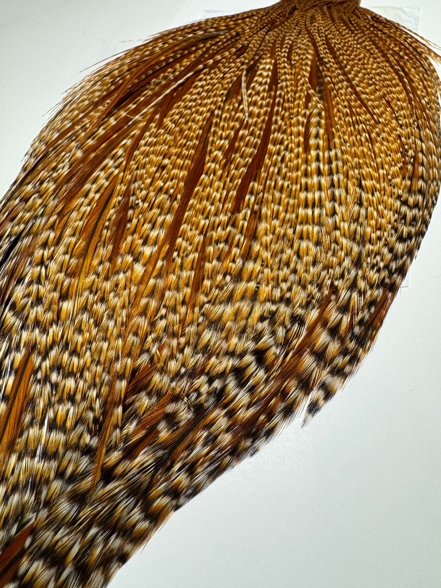 Whiting Farms Hebert Miner Pro Grade Cape:  Barred Dark Ginger SH036