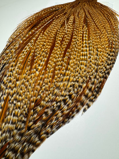 Whiting Farms Hebert Miner Pro Grade Cape:  Barred Dark Ginger SH036