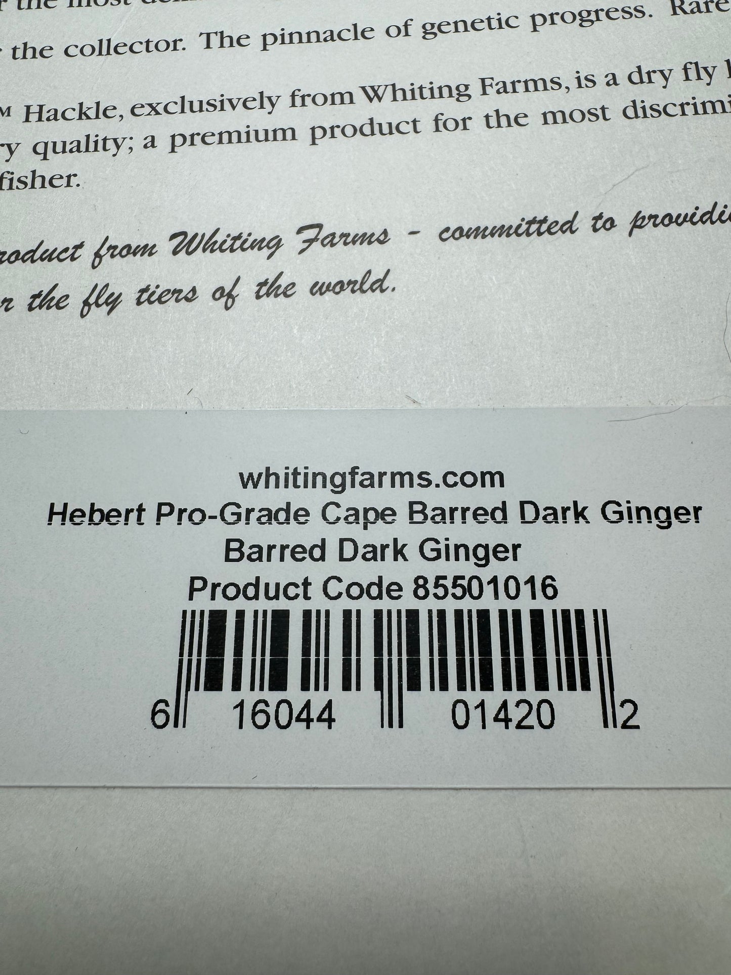 Whiting Farms Hebert Miner Pro Grade Cape:  Barred Dark Ginger SH036