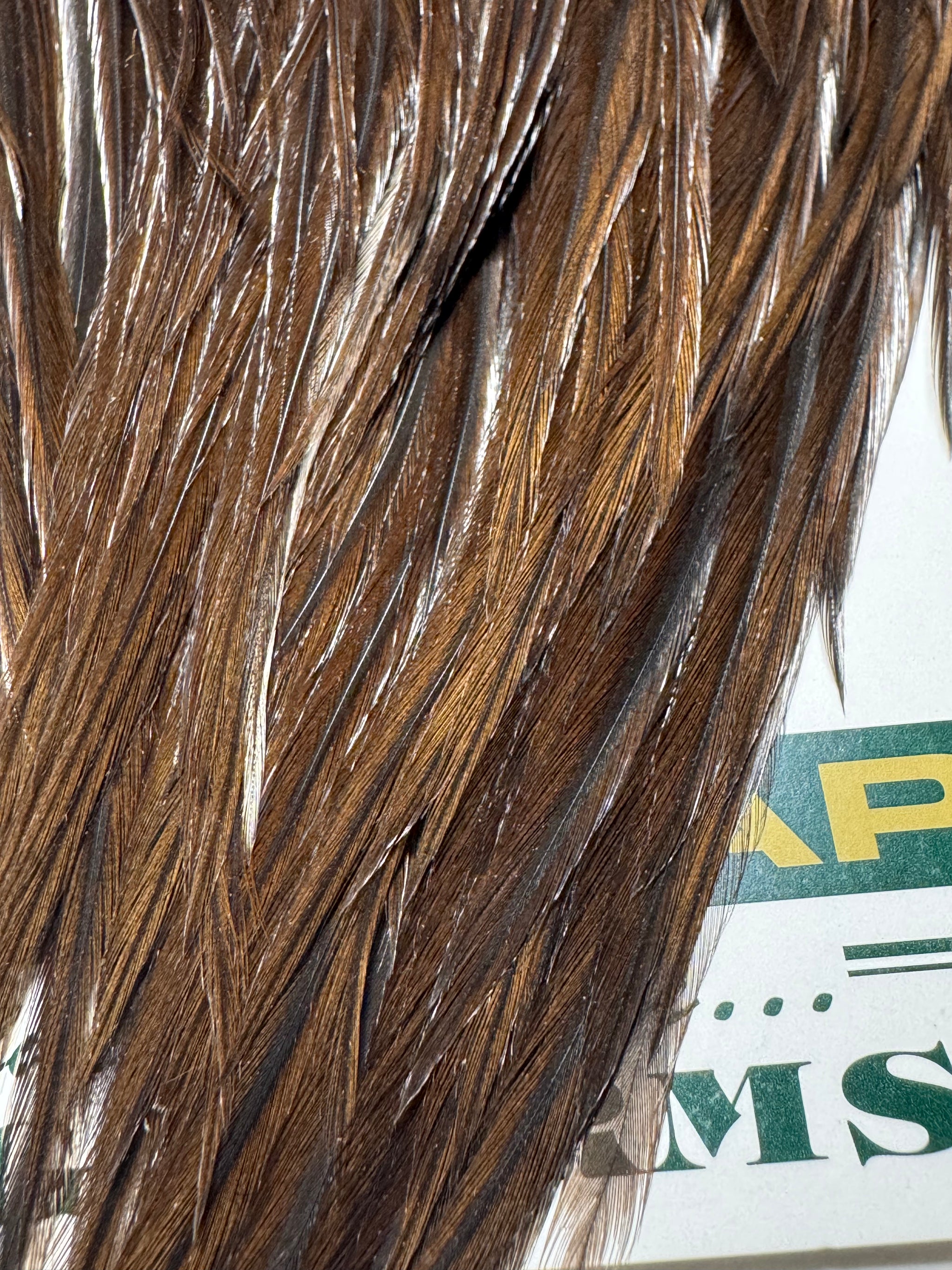 Whiting Farms Hebert Miner Pro Grade Cape:  Labeled Black- Closer to Dark Brown  SH037
