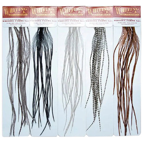 Whiting Farms 100 Packs: Size 10