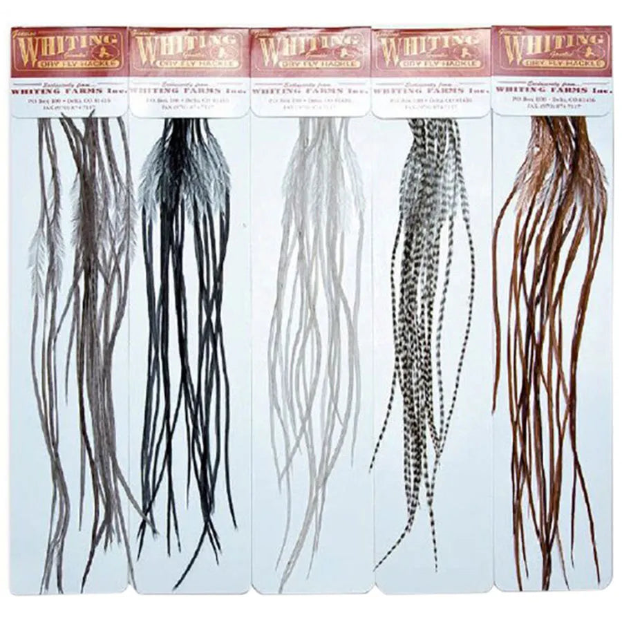 Whiting Farms 100 Packs: Size 14