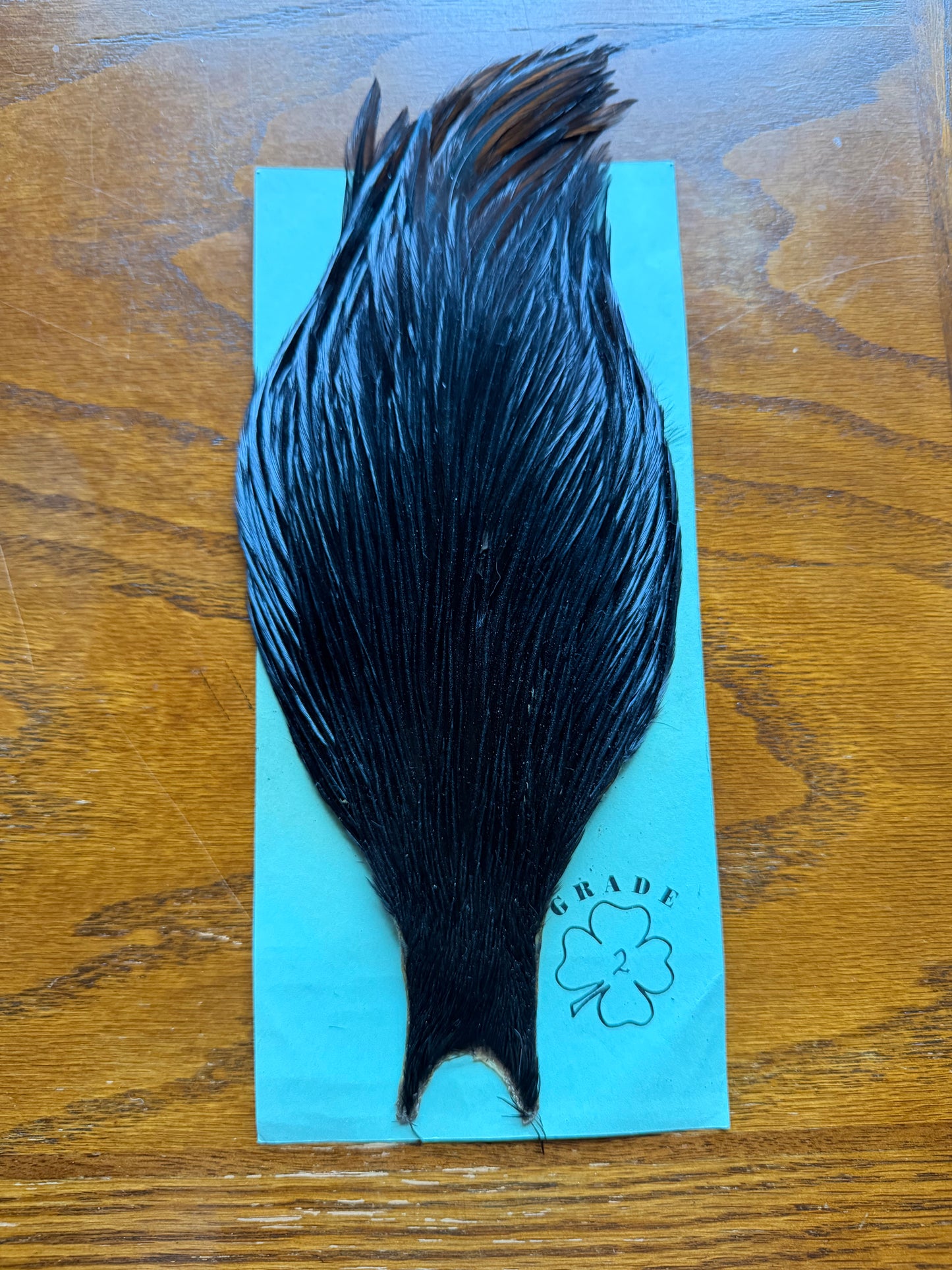 Shannon’s Fancy Hackle Grade 2 Cape Black 532-SH-E-L