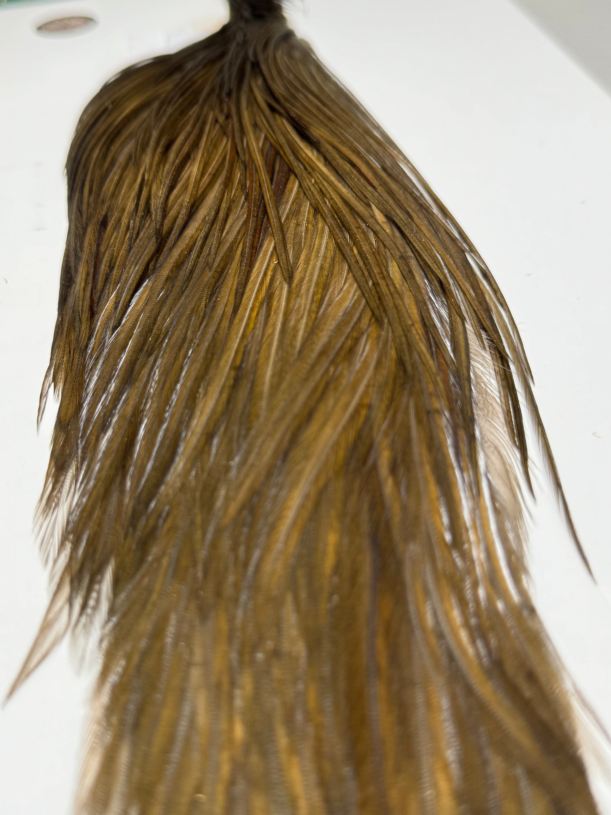 Whiting Farms Hebert Miner BRONZE 1/2 Cape: Dark Brassy Dun SH-E-041