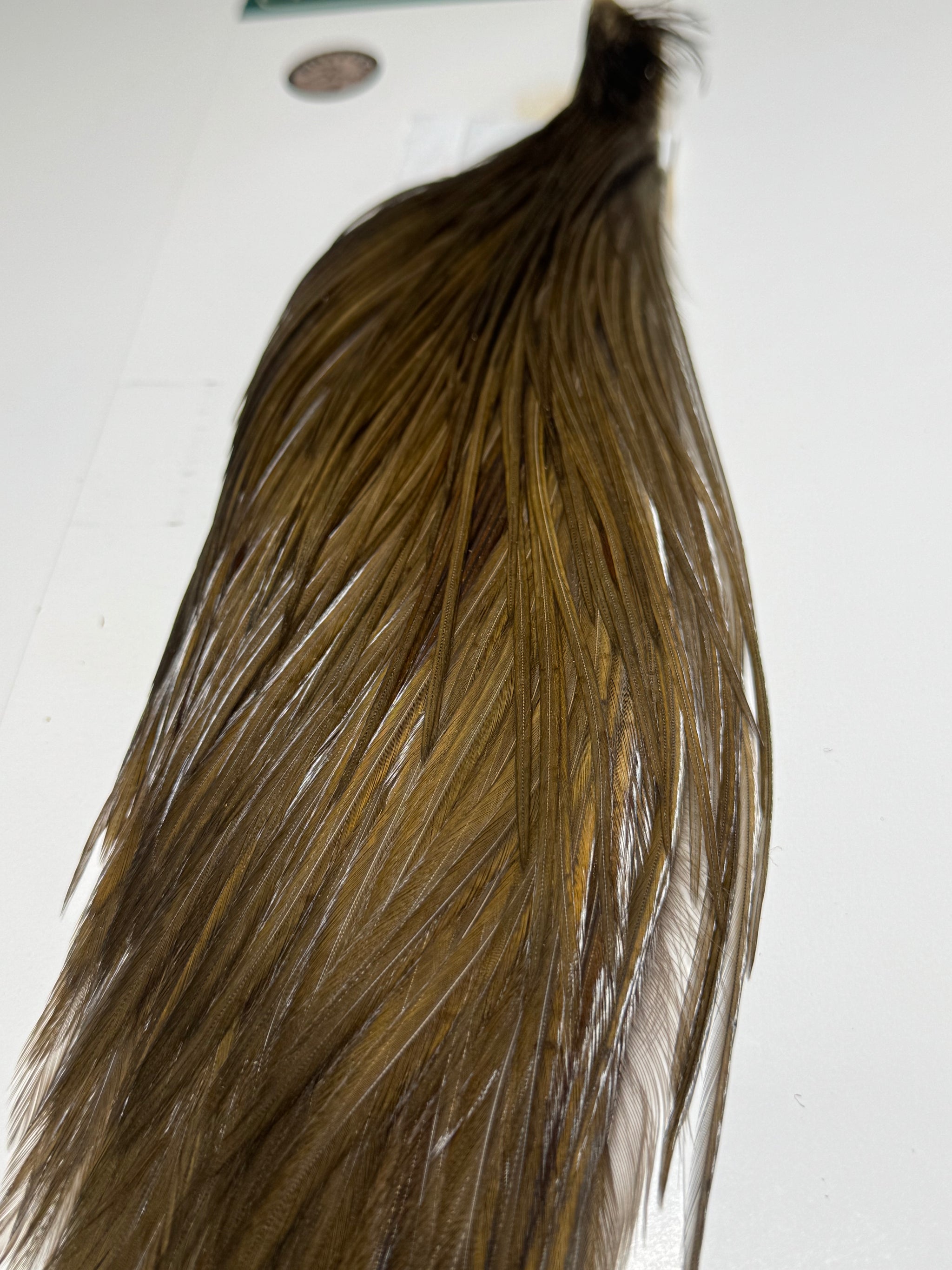 Whiting Farms Hebert Miner BRONZE 1/2 Cape: Dark Brassy Dun SH-E-041