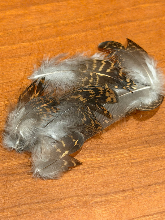 Cookshill Scottish Red Grouse Hackles
