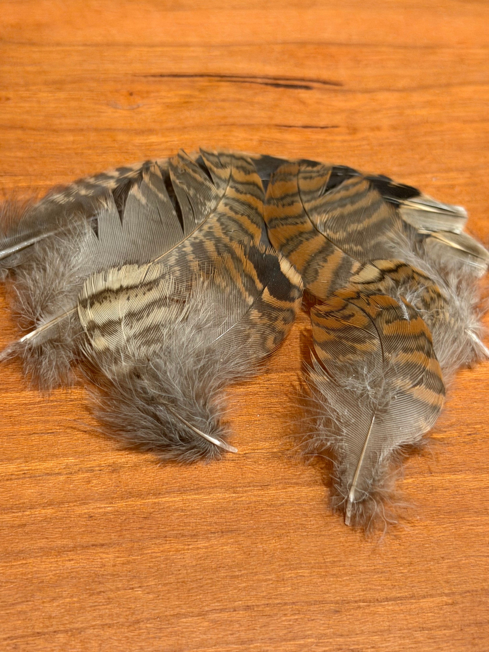Cookshill Woodcock hackle feathers