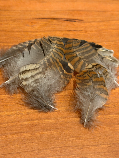 Cookshill Woodcock hackle feathers