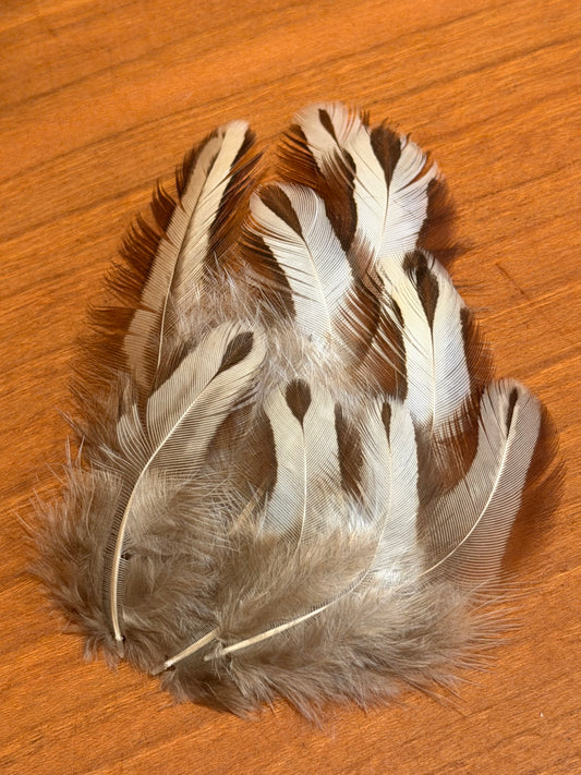 Francolin Body Feathers – Soft Hackle & Wet Fly Collars: 9 pieces