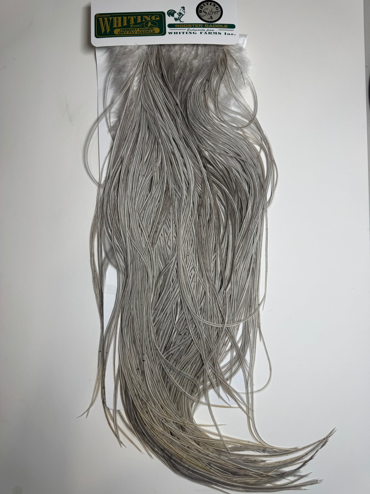 Whiting Farms Hebert Miner SILVER Saddle Hackle: Light Grey Dun SH-E-056