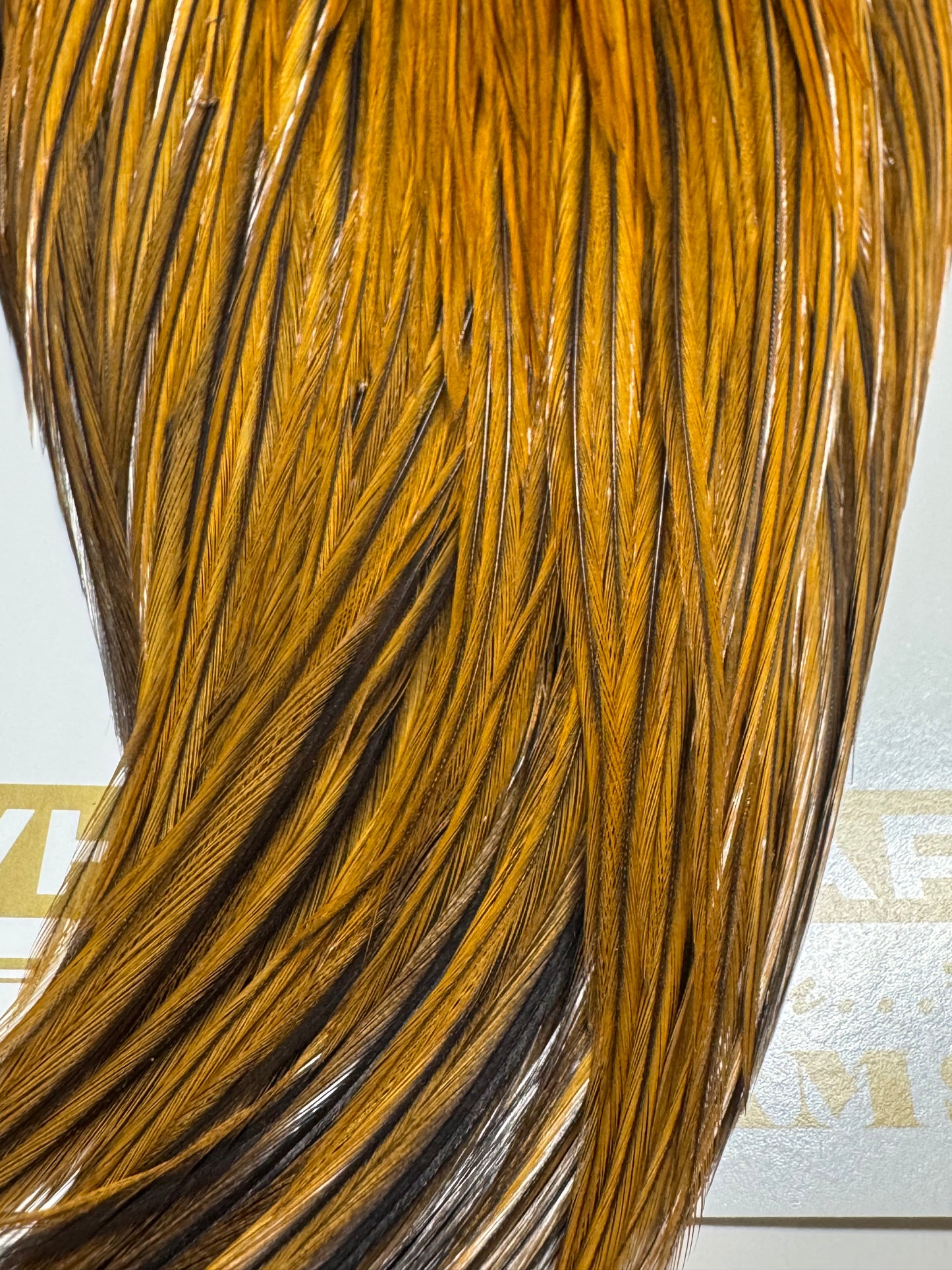 Whiting Farms Heritage Hackle Cape: Brown Grade 1 SH-E-066