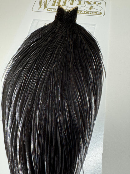 Whiting Farms Heritage Hackle Rooster Cape- Black- Grade 1 SH-E-069