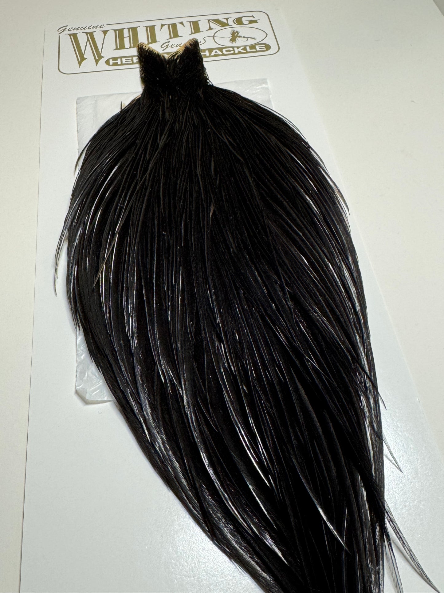 Whiting Farms Heritage Hackle Rooster Cape- Black- Grade 1 SH-E-069