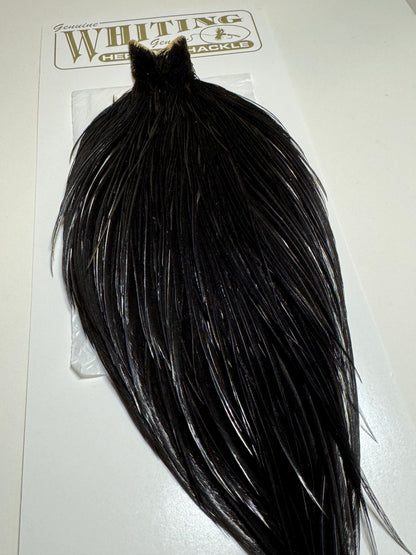 Whiting Farms Heritage Hackle Rooster Cape- Black- Grade 1 SH-E-069