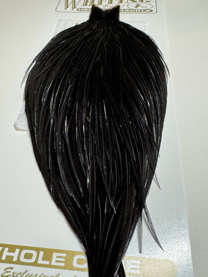 Whiting Farms Heritage Hackle Rooster Cape- Black- Grade 1 SH-E-069