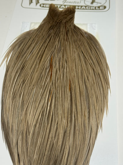 Whiting Farms Heritage Hackle Rooster Cape- Grade 2- Heritage Dun SH-E-073