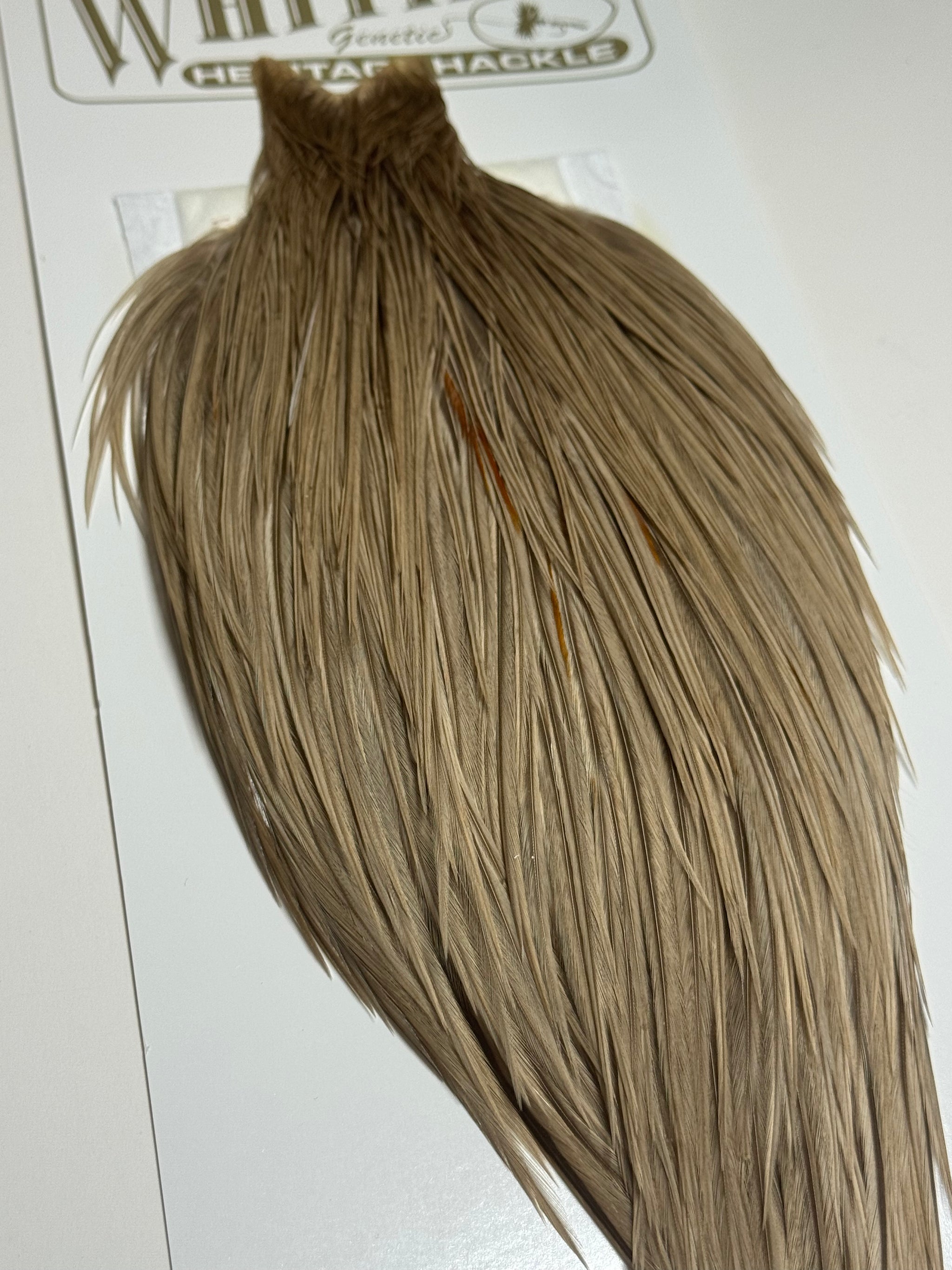 Whiting Farms Heritage Hackle Rooster Cape- Grade 2- Heritage Dun SH-E-073