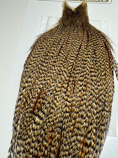 Whiting Farms Heritage Hackle Rooster Cape: Grade 2 Cree- SH-E-074