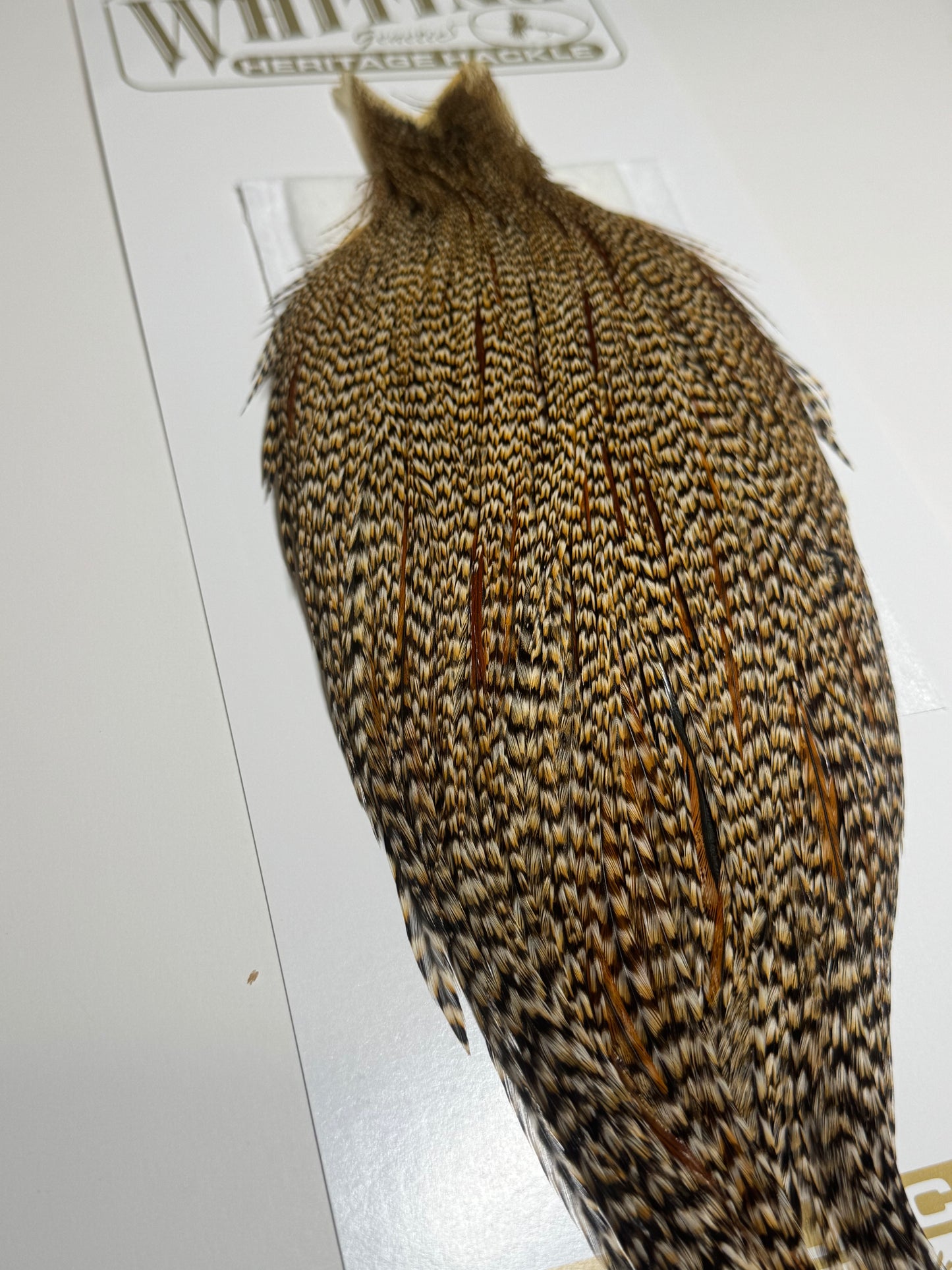 Whiting Farms Heritage Hackle Rooster Cape: Grade 2 Cree- SH-E-074