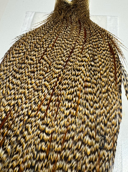 Whiting Farms Heritage Hackle Rooster Cape: Grade 2 Cree- SH-E-074