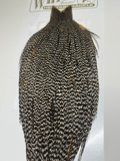 Whiting Farms Heritage Hackle Rooster Cape- Grizzly Variant- Grade 2 SH-E-075