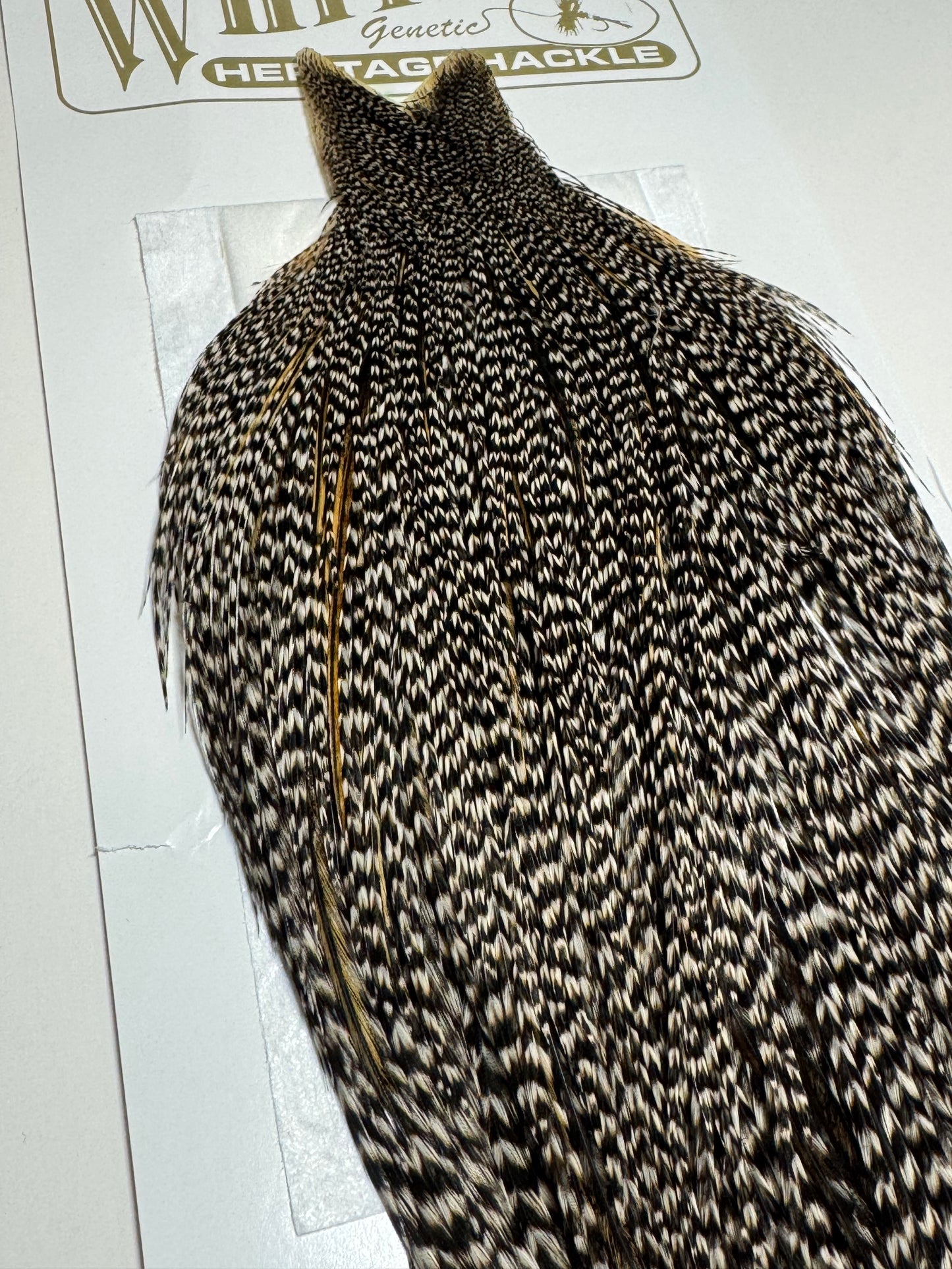 Whiting Farms Heritage Hackle Rooster Cape- Grizzly Variant- Grade 2 SH-E-075