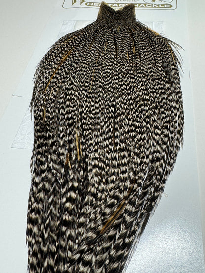 Whiting Farms Heritage Hackle Rooster Cape- Grizzly Variant- Grade 2 SH-E-075