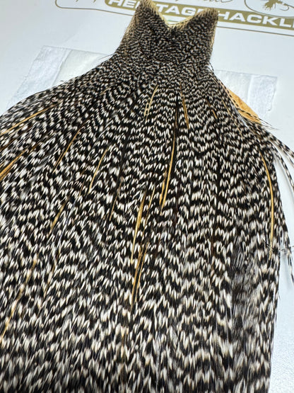 Whiting Farms Heritage Hackle Rooster Cape- Grizzly Variant- Grade 2 SH-E-075