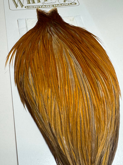Whiting Farms Heritage Hackle Rooster Cape: Honey Dun/Rusty Dun- Grade 1 SH-E-076