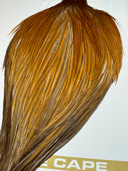 Whiting Farms Heritage Hackle Rooster Cape: Honey Dun/Rusty Dun- Grade 1 SH-E-076