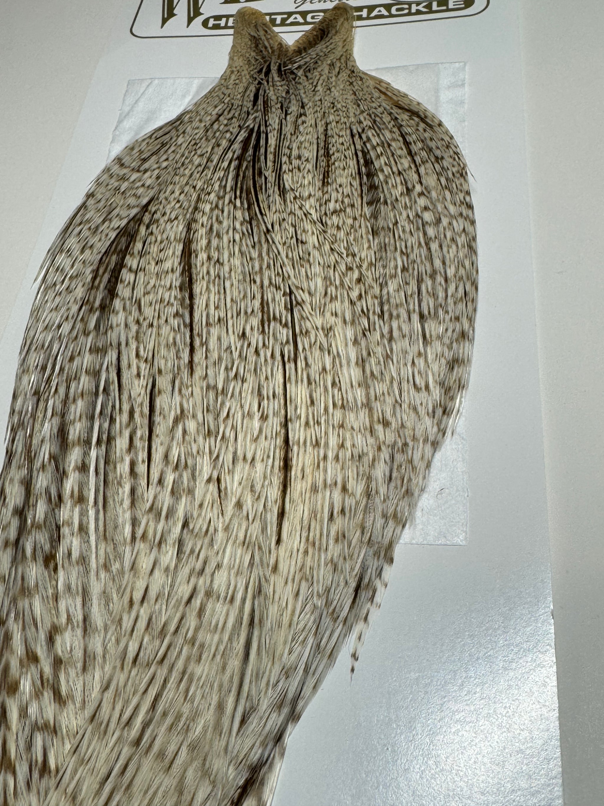 Whiting Farms Heritage Hackle Rooster Cape: Dun Grizzly- Grade 1 SH-E-077