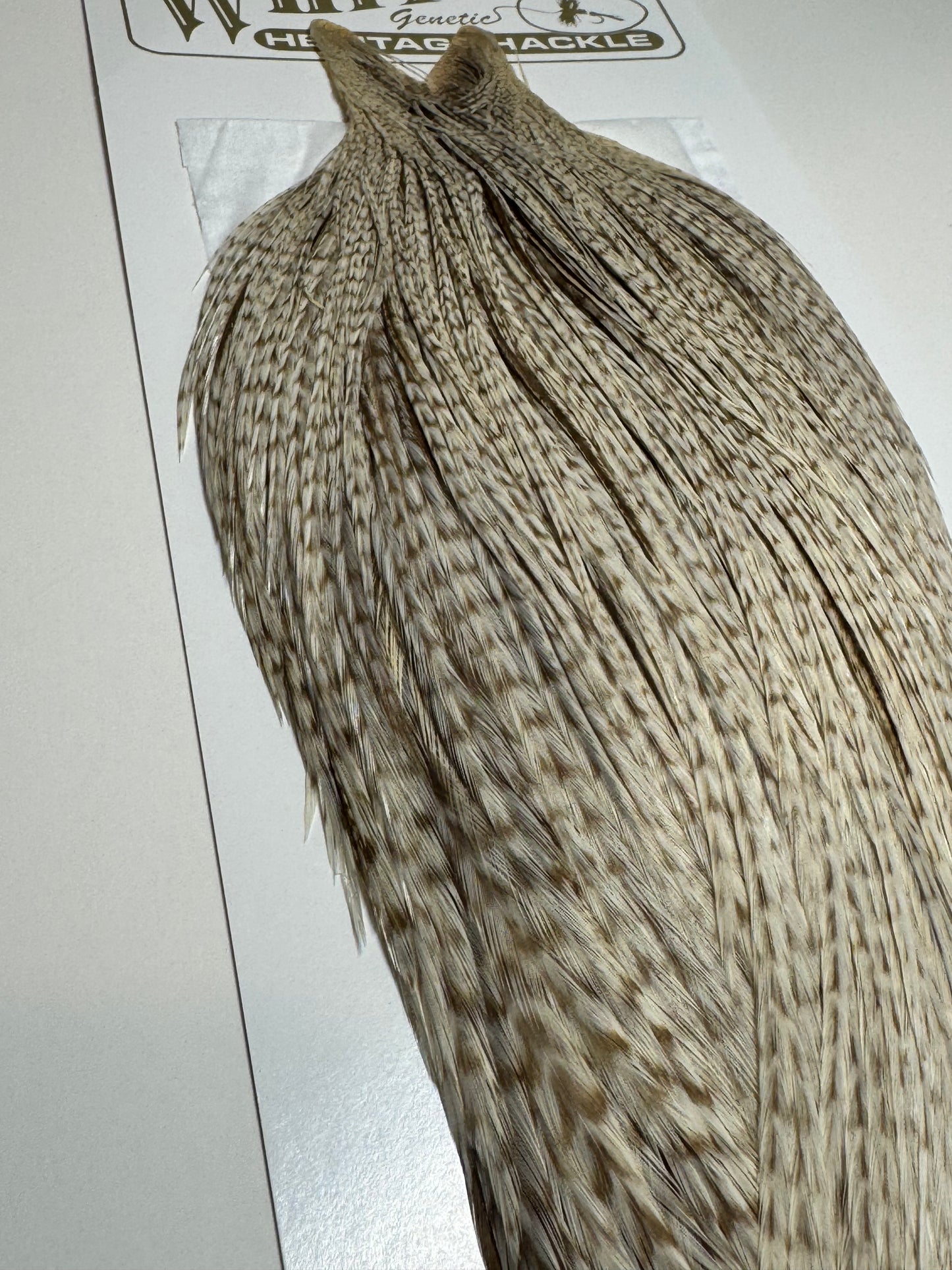 Whiting Farms Heritage Hackle Rooster Cape: Dun Grizzly- Grade 1 SH-E-077