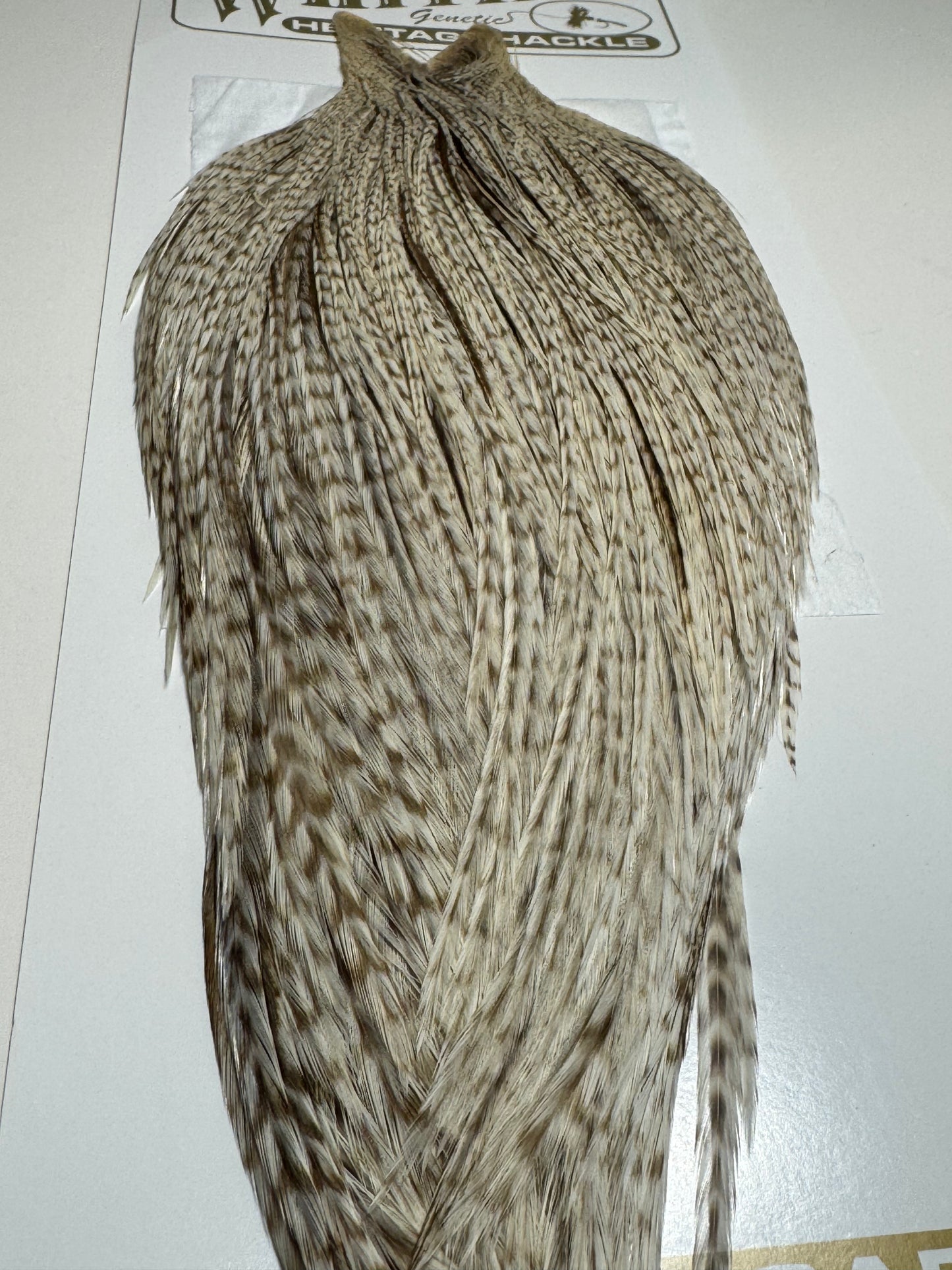 Whiting Farms Heritage Hackle Rooster Cape: Dun Grizzly- Grade 1 SH-E-077