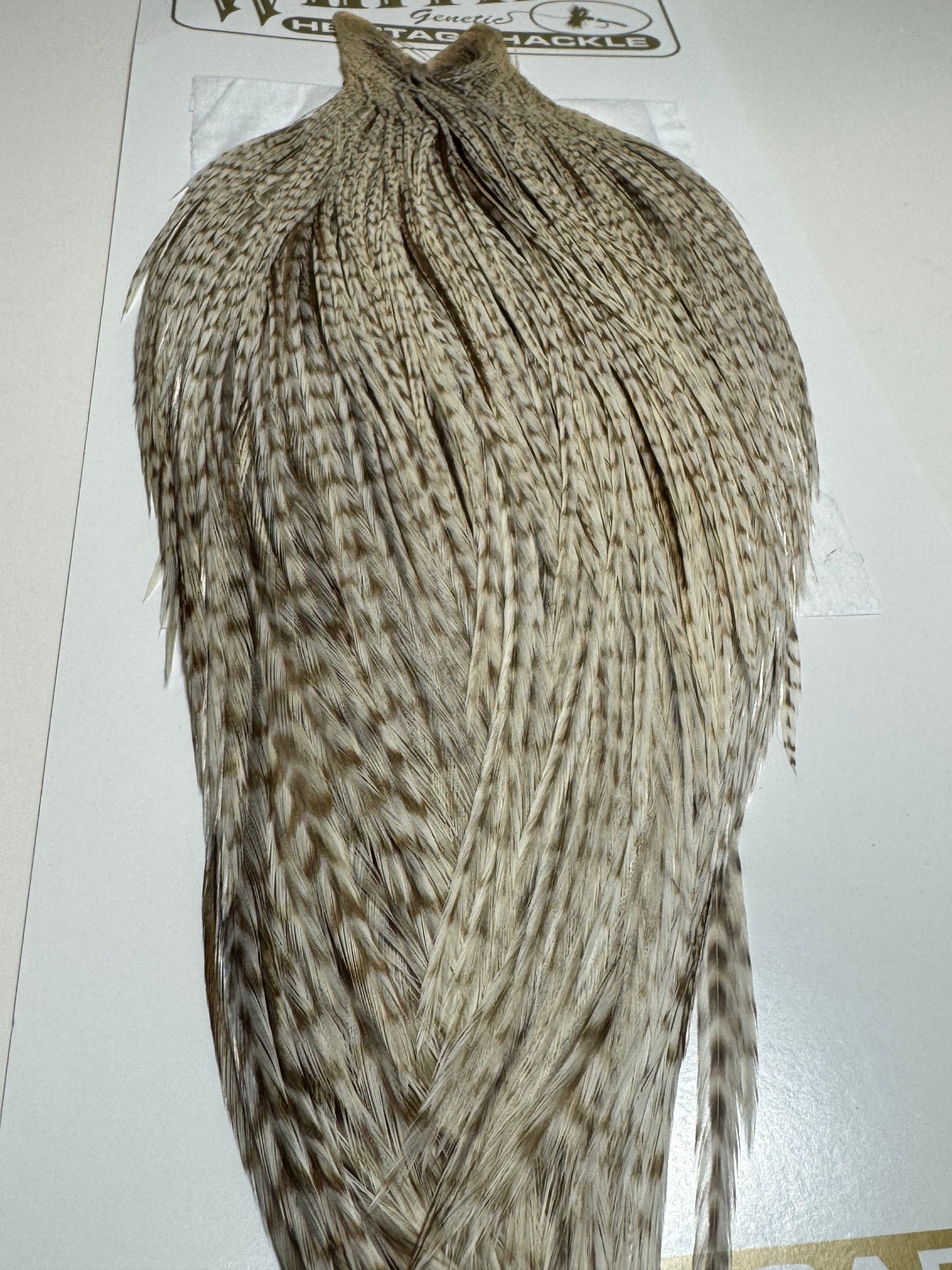 Whiting Farms Heritage Hackle Rooster Cape: Dun Grizzly- Grade 1 SH-E-077