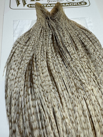 Whiting Farms Heritage Hackle Rooster Cape: Dun Grizzly- Grade 1 SH-E-077