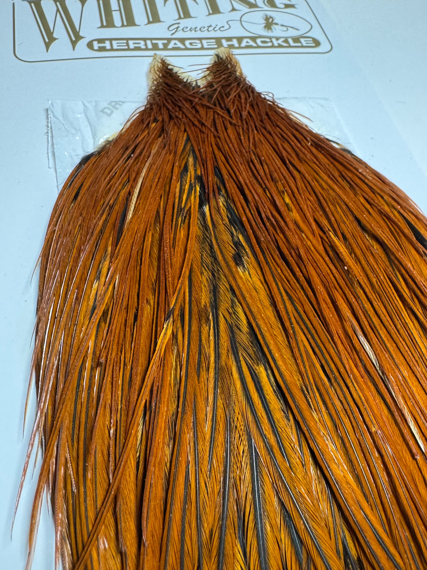 Whiting Farms Heritage Hackle Rooster Cape: Furnace- Grade 1 SH-E-078