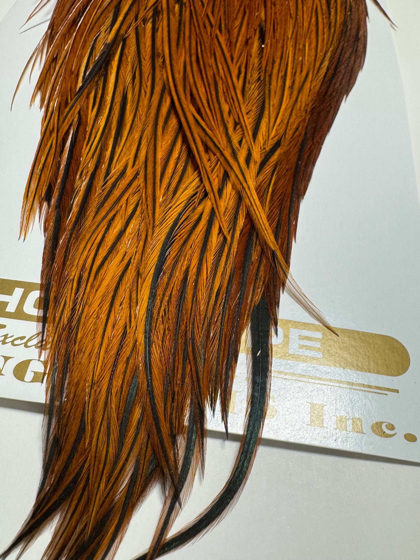 Whiting Farms Heritage Hackle Rooster Cape: Furnace- Grade 1 SH-E-078
