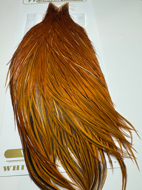 Whiting Farms Heritage Hackle Rooster Cape: Brown  SH-E-080